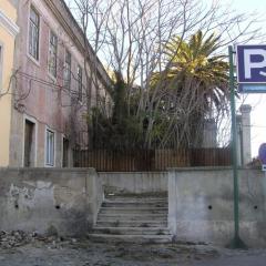 23/img_277.jpg