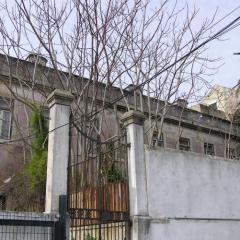 23/img_280.jpg